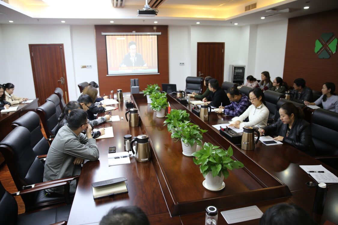 西南醫(yī)投組織集中收看學(xué)習(xí)貫徹黨的 十九大精神中央宣講團(tuán)來川宣講報(bào)告會(huì)實(shí)況